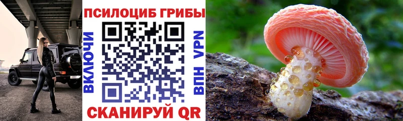 Псилоцибиновые грибы Magic Shrooms  Заринск 